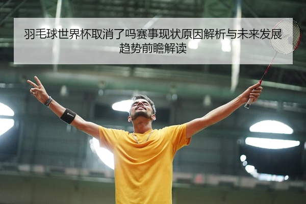 羽毛球世界杯取消了吗赛事现状原因解析与未来发展趋势前瞻解读