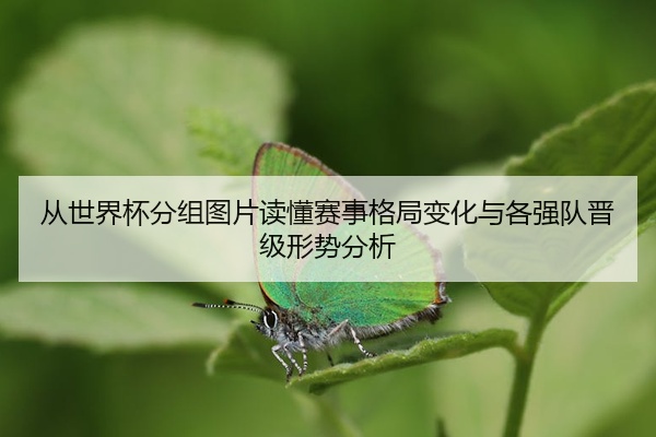 从世界杯分组图片读懂赛事格局变化与各强队晋级形势分析