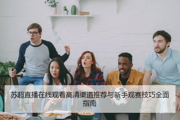 苏超直播在线观看高清渠道推荐与新手观赛技巧全面指南