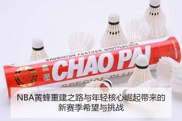 NBA黄蜂重建之路与年轻核心崛起带来的新赛季希望与挑战